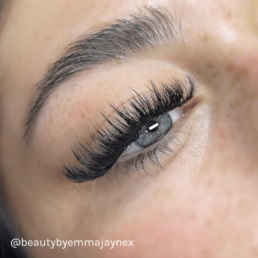 LBX Collection Volume Lashes 0.05mm - Image 5